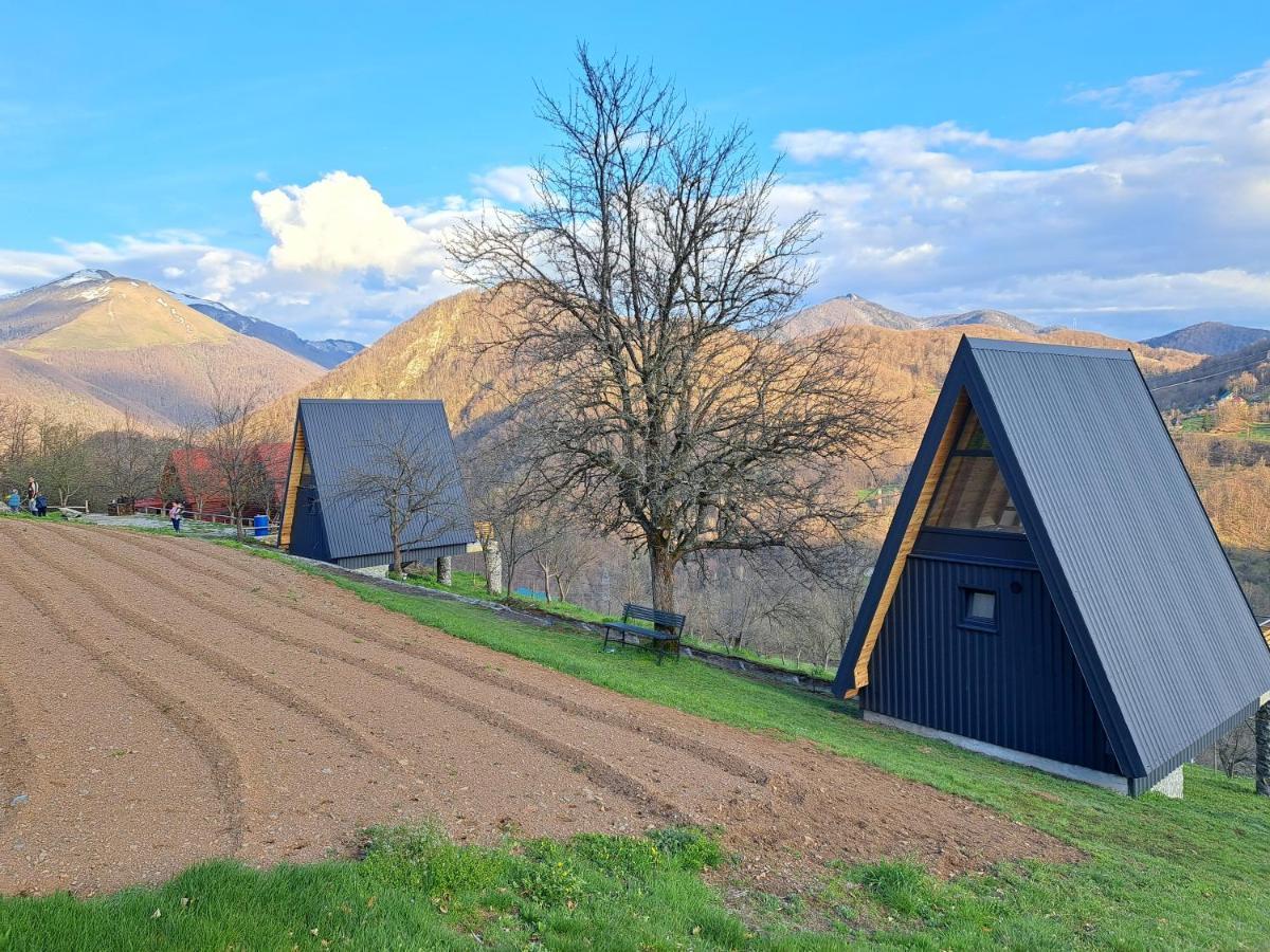 Fern Farm Tiny Home Mojkovac Luaran gambar