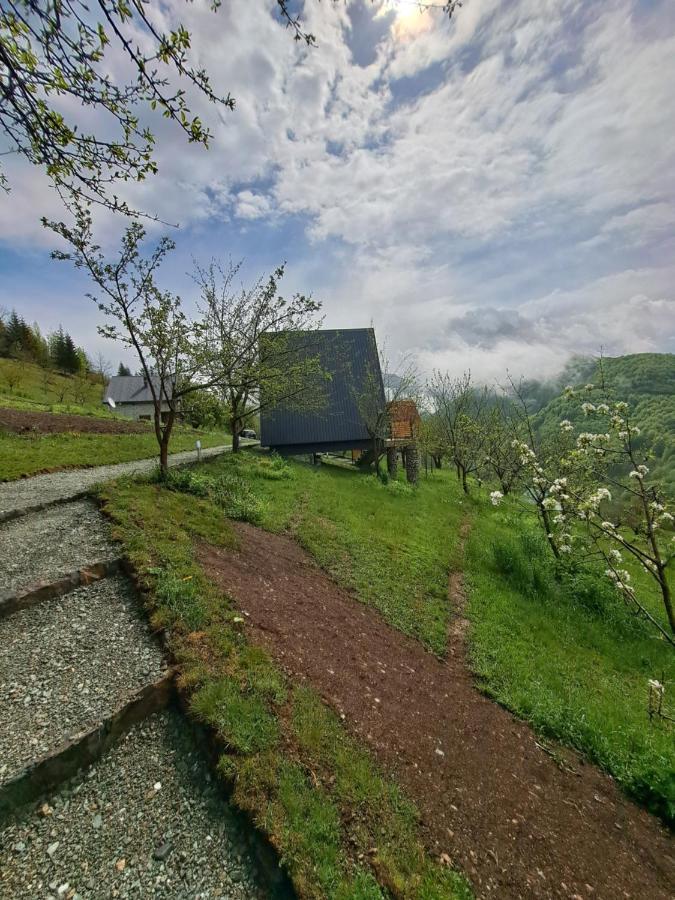 Fern Farm Tiny Home Mojkovac Luaran gambar