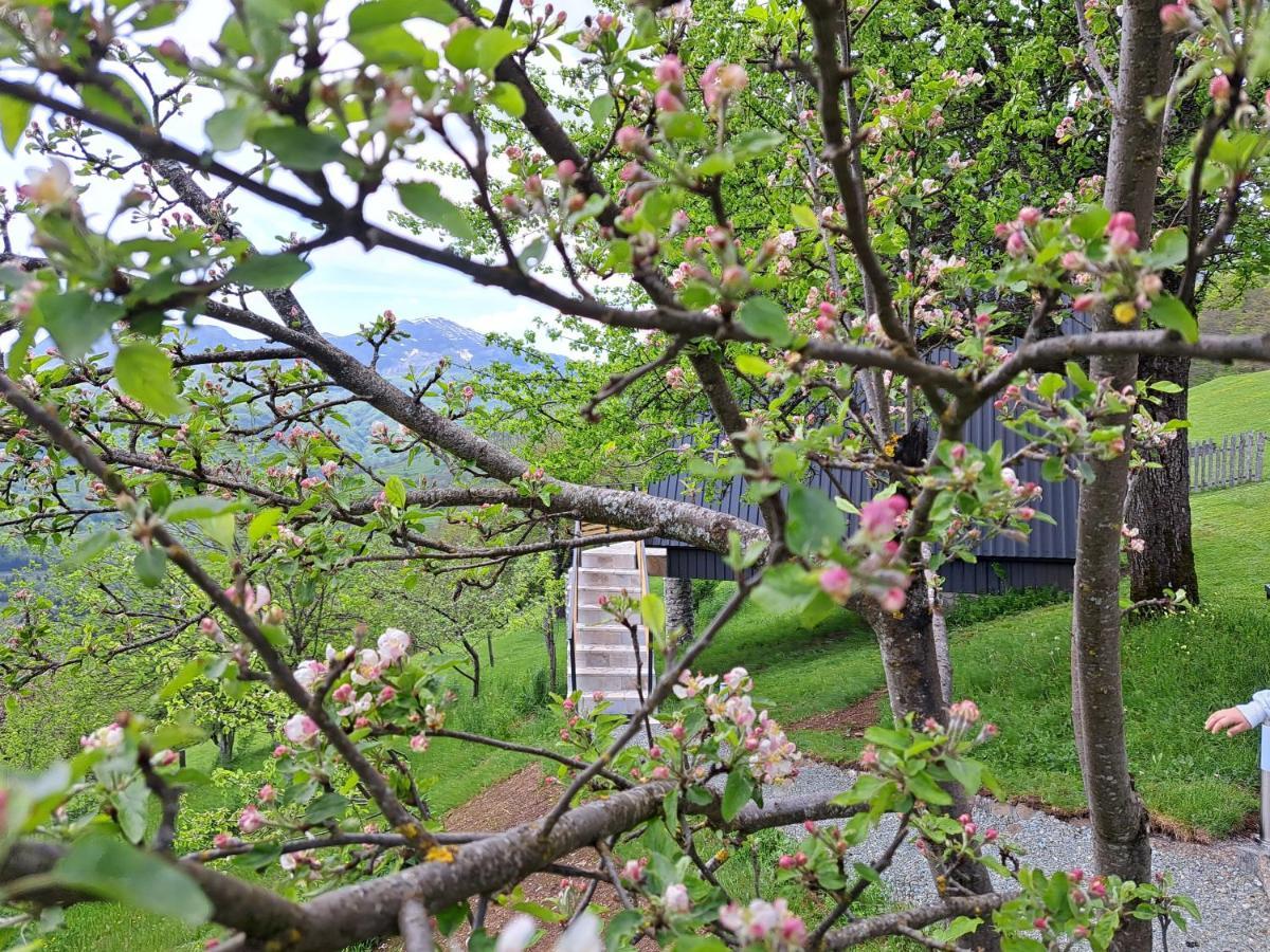 Fern Farm Tiny Home Mojkovac Luaran gambar