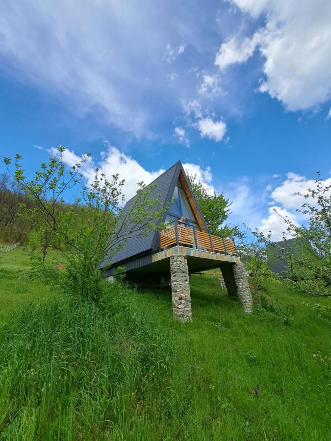 Fern Farm Tiny Home Mojkovac Luaran gambar