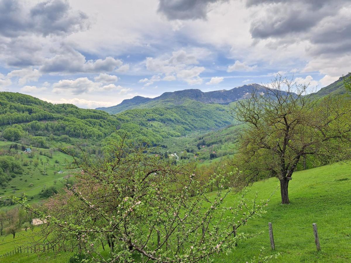 Fern Farm Tiny Home Mojkovac Luaran gambar