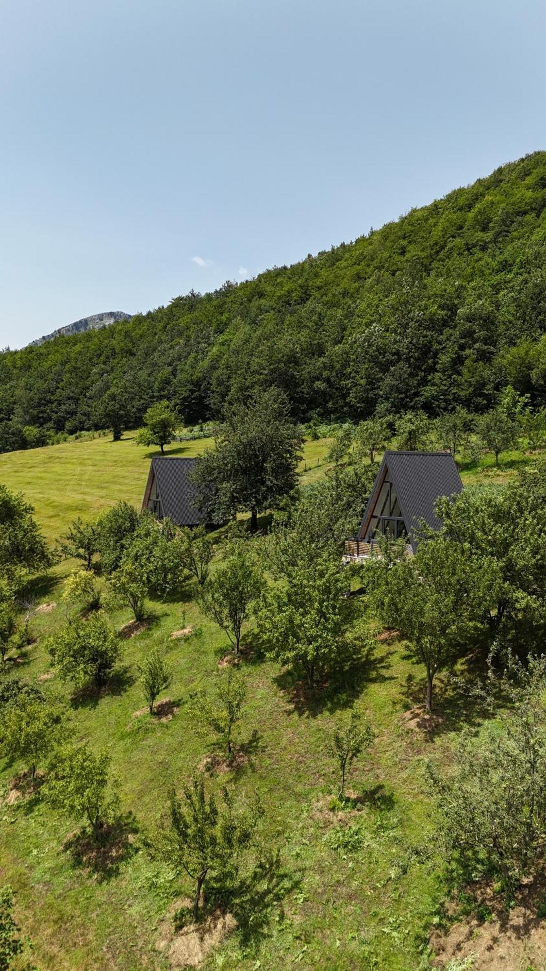 Fern Farm Tiny Home Mojkovac Luaran gambar